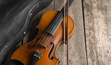 至学館大学とバイオリン工場