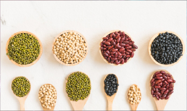 お正月の黒豆の正体は？