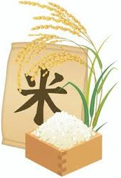 皆さん、お米食べていますか？