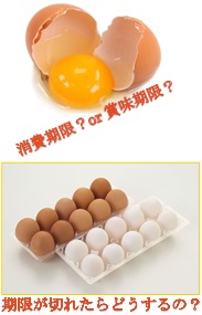 卵の期限表示ってどういう意味があるの？