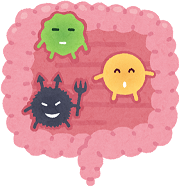 腸は健康の門番