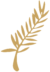 「パルムドール」