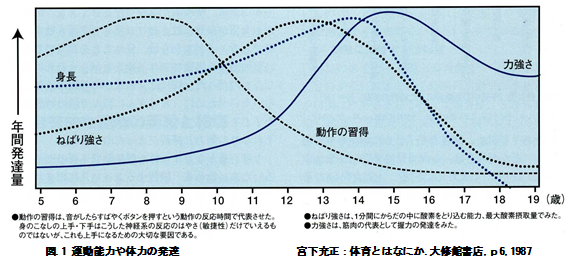 いつの年代にどんな体力をつけたらいいの？