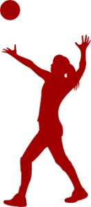 スポーツの技とその特徴について－バレーボールの技を例にして－