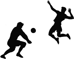 スポーツ運動を「見る」ことはできますか？