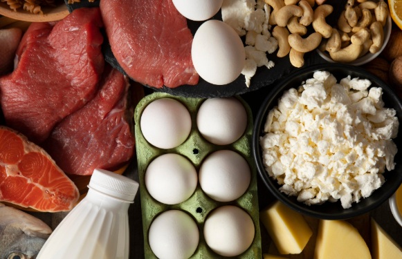 痩せるためにはタンパク質だけを摂れば良い!?